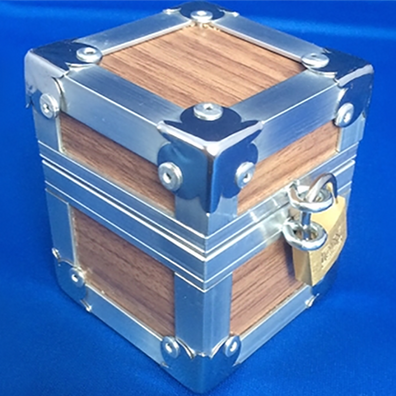 Flight Case (Gimmck and Online Instructions)by Leo Smetsers - Trick